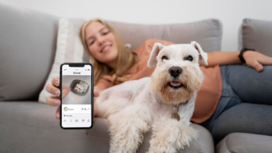 Woof Apps